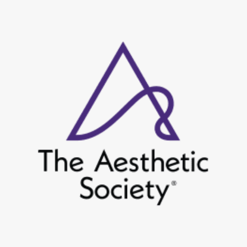 The Aesthetic Society